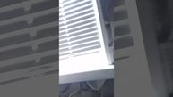 1000023459.mp4