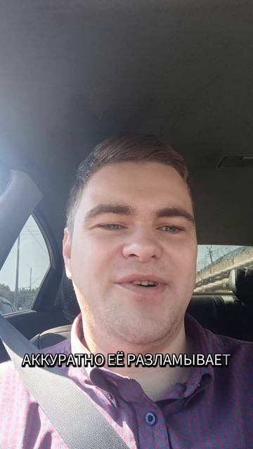 Программист у пруда #юмор #смех #программист #пруд #утки #хлеб