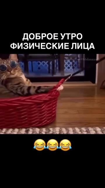 Видео от МЭН - Мне Это Нравится