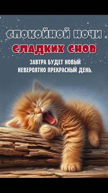 Доброго вечера) Спокойной ночи)