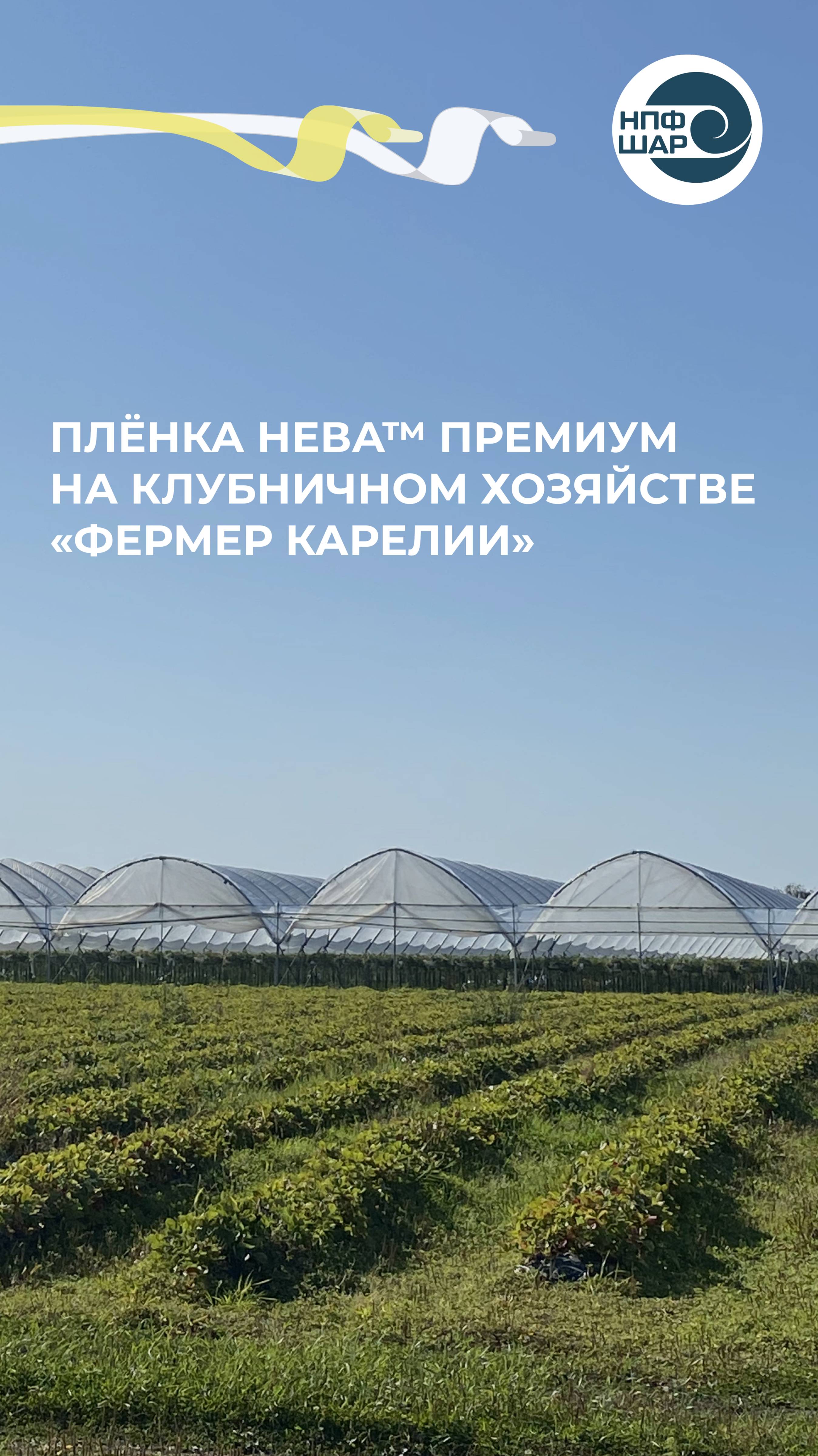 Пленка для теплиц НЕВА™ Премиум в тепличном хозяйстве «Фермеры Карелии» 🌱