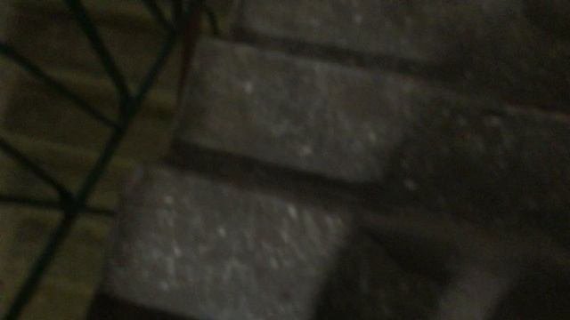 Теорема ЖКХ_Подъезд_2025.09.20_14-40