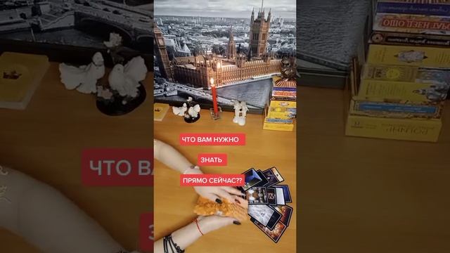Что вам нужно знать прямо сейчас?