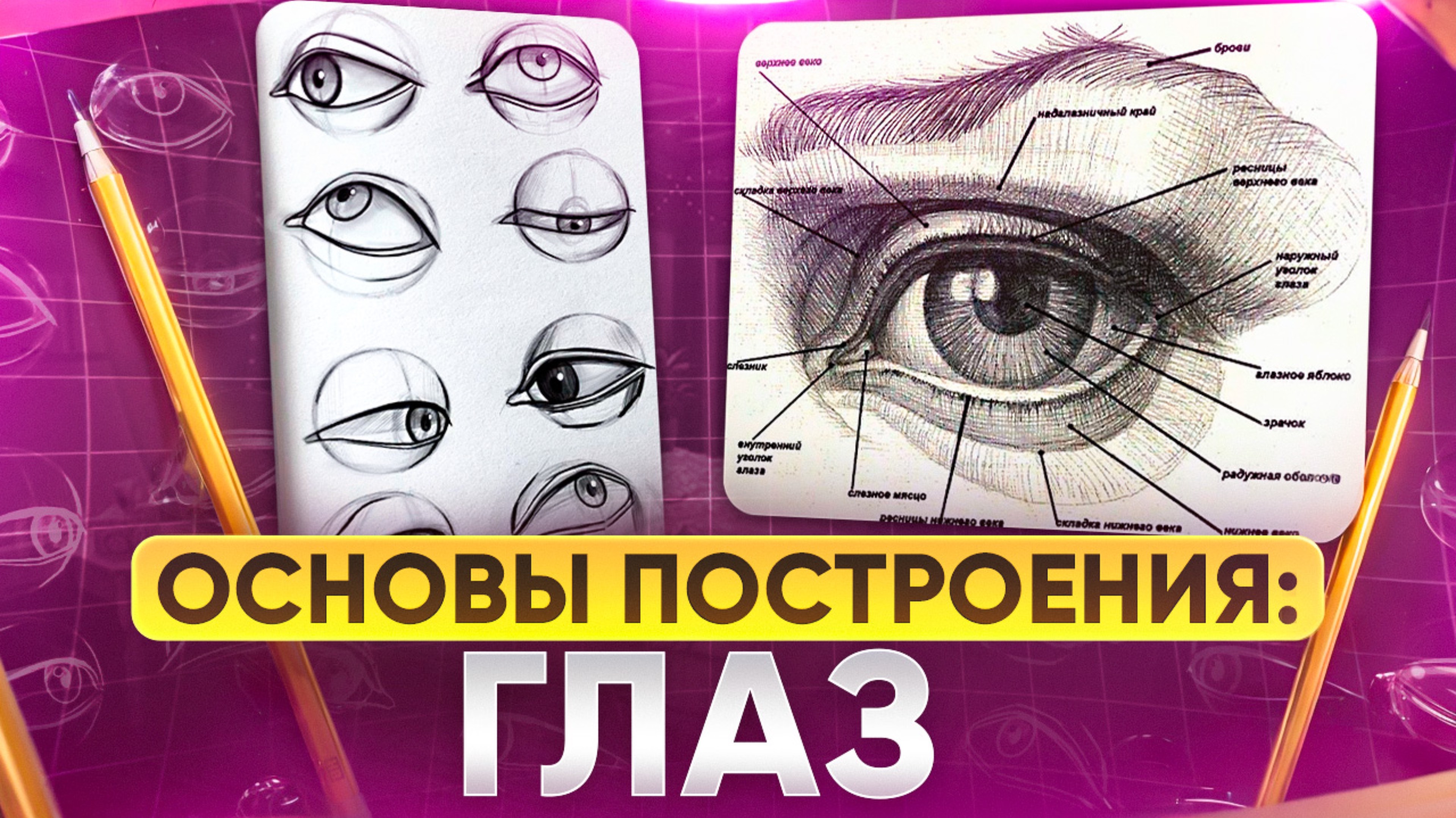 ОСНОВЫ ПОСТРОЕНИЯ: глаз