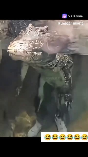 обман зрения,😂