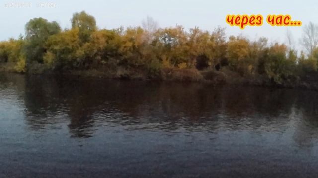 Однажды на Исети: история о неуловимой щуке 😃