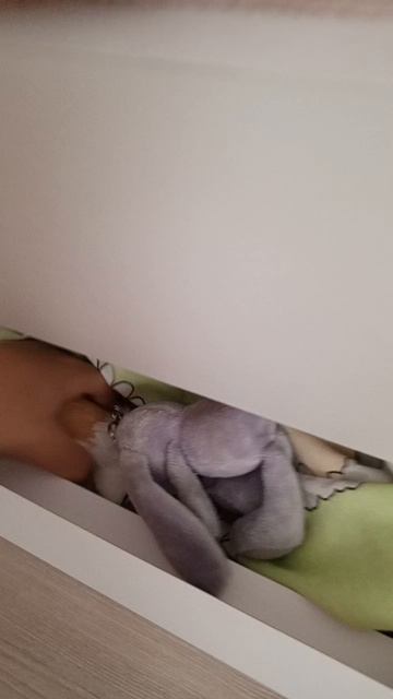 VLOG / УКЛАДЫВАЮ РЕБОРНА ЕВУ НА ДНЕВНОЙ СОН ждите влог после дневного сна ☺️💗