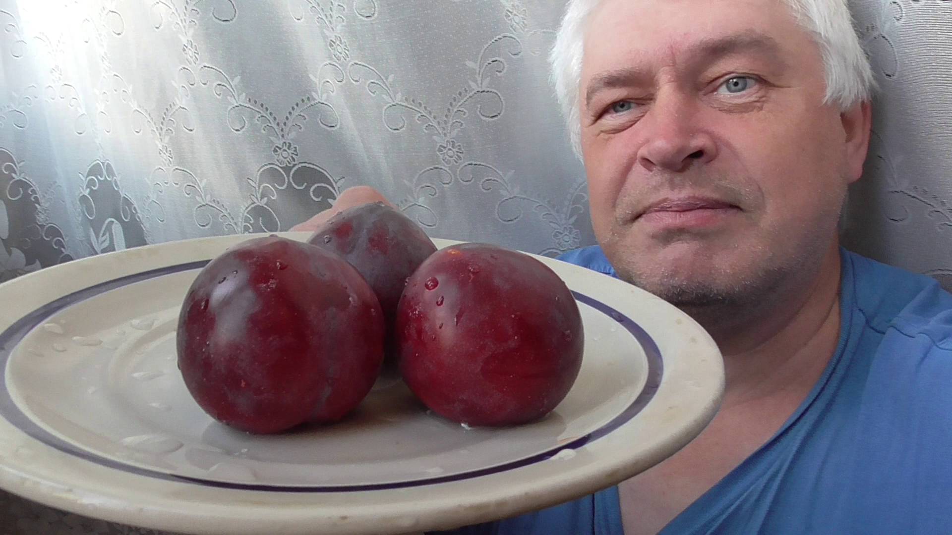 У меня сливы. Я кушаю сливы