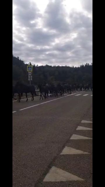 Правила дорожного движения :)