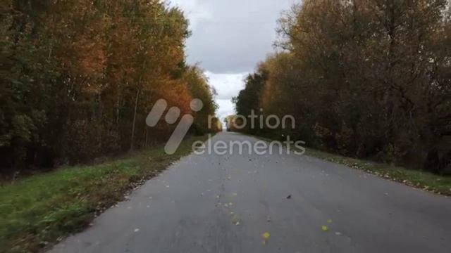 Rockinot-Nothing About Fall