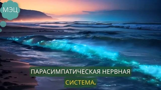 КАК ЗВУК ВЛИЯЕТ НА НАС