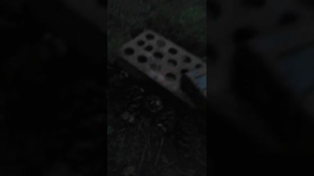 99 ночей в реальной жизни часть 3