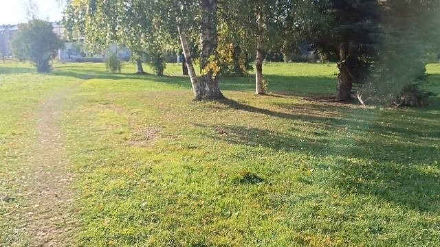 осень