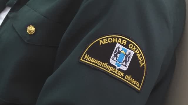 21.09.25 День работников лесного хозяйства