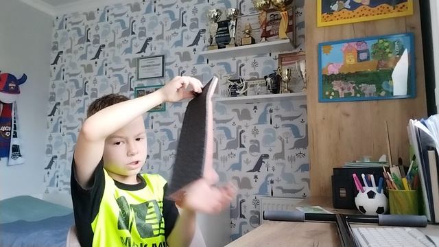 2 версия имбаскута