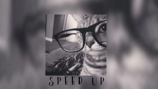 лучшие песни из плейлиста ( Speed Up )