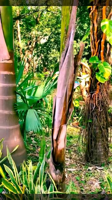 2025-09-19. В парке Канкуна