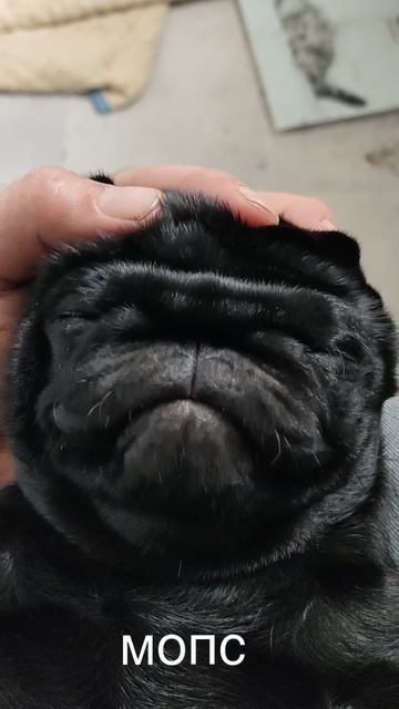 Бусинка