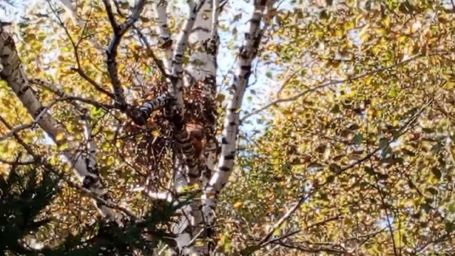 субботний день.