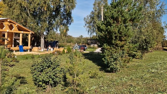 Когда строить дома из бруса? Зима, Лето.