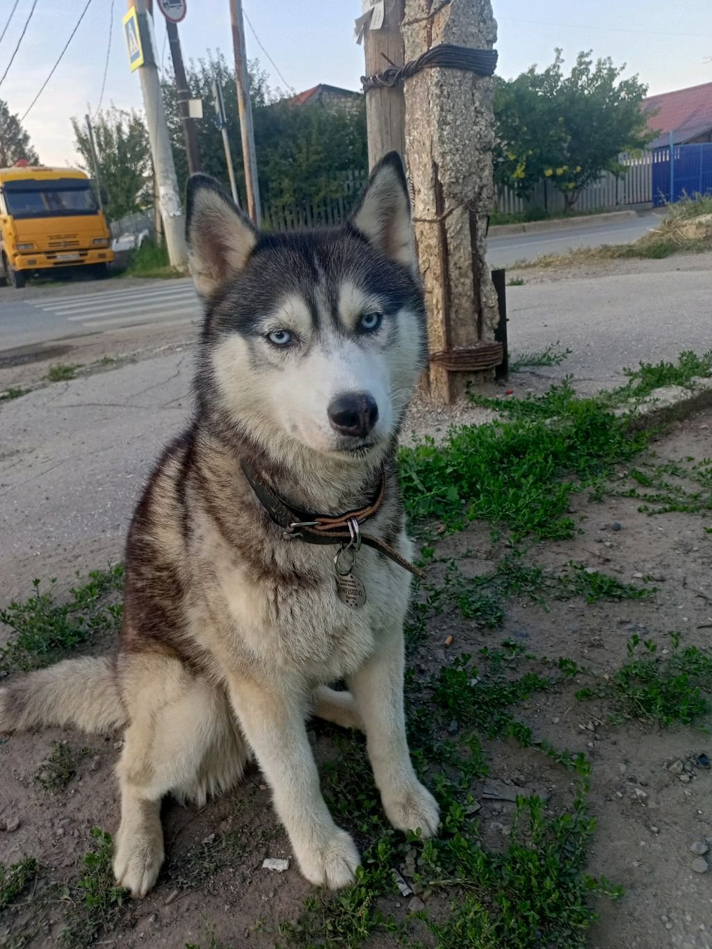 эн Ти Ти  303