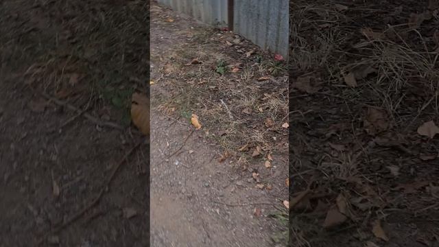 дача❤️