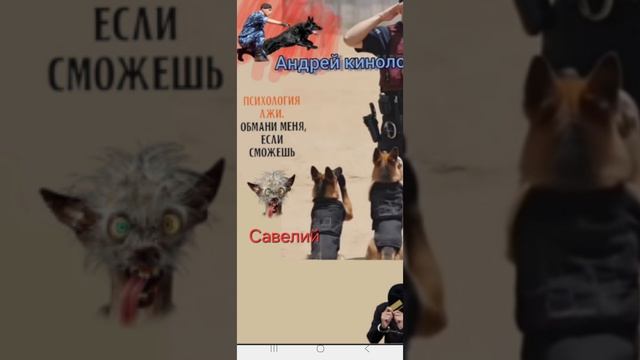 Савелий разносит мошню.