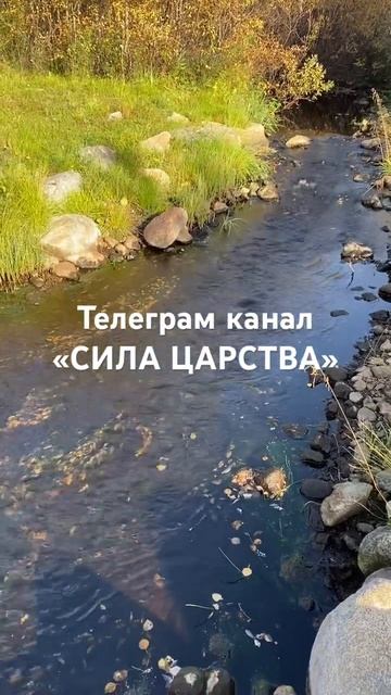 ГЛАВНАЯ ПРИЧИНА