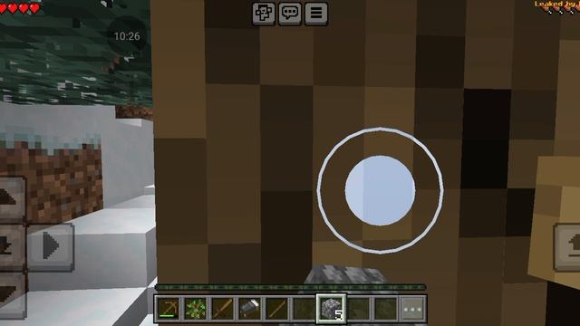 1000029000.mp4