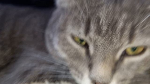 1000003167.mp4