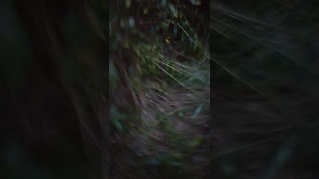 1000000325.mp4