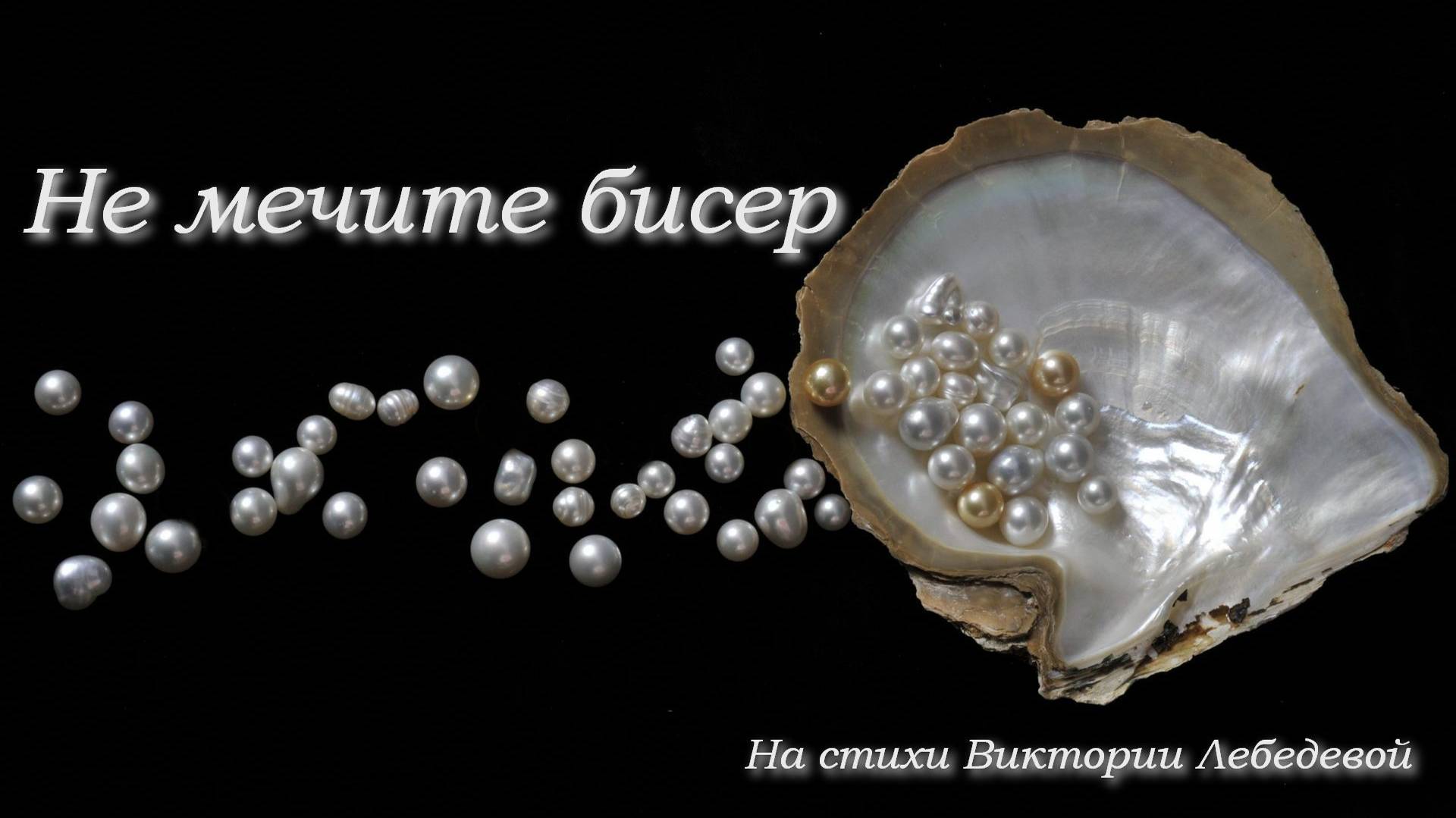 Не мечите бисер (Песня)