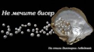 Не мечите бисер (Песня)
