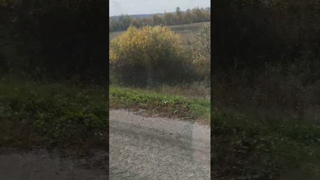 в автобусе