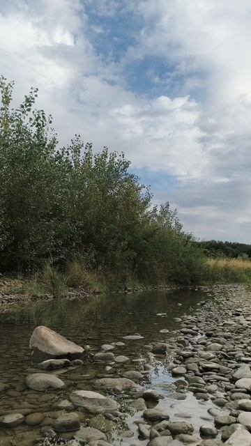 20.09.2025 #сегоднятак #природа #прырода #табиғ #自然 #natureza #natura #자연 #طبيعة #प्रकृति #nature