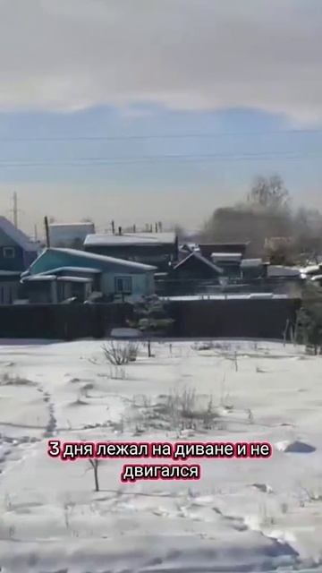 #юмор #приколы #смех #ржака