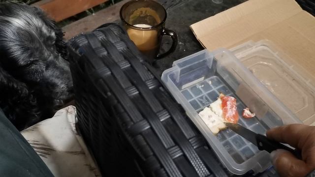 СОЧИ ГОРНОЕ ЛОО УТРО 21.09.2025