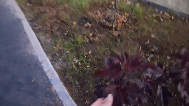 20.09.25. Афтершоки продолжаются а люди играют футбол на 