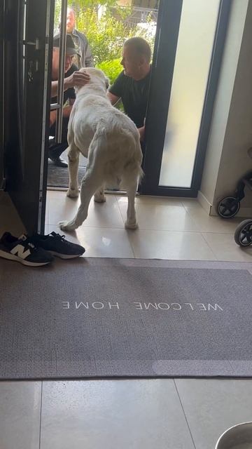 За ним пришли