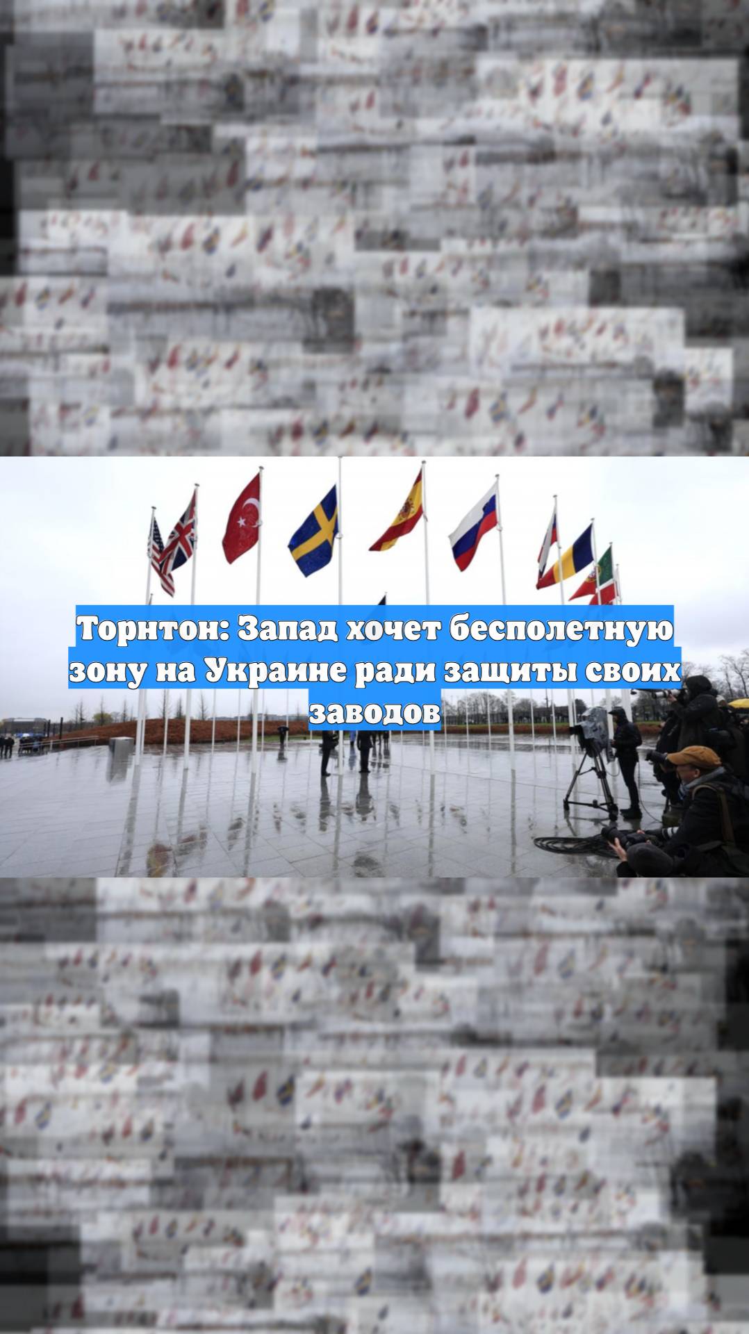 Торнтон: Запад хочет бесполетную зону на Украине ради защиты своих заводов