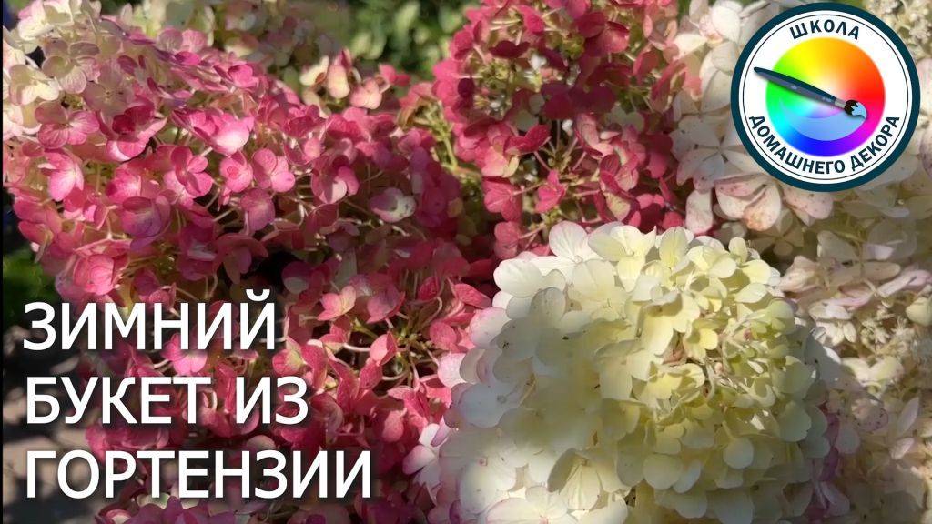 Как сделать зимний букет из гортенщии