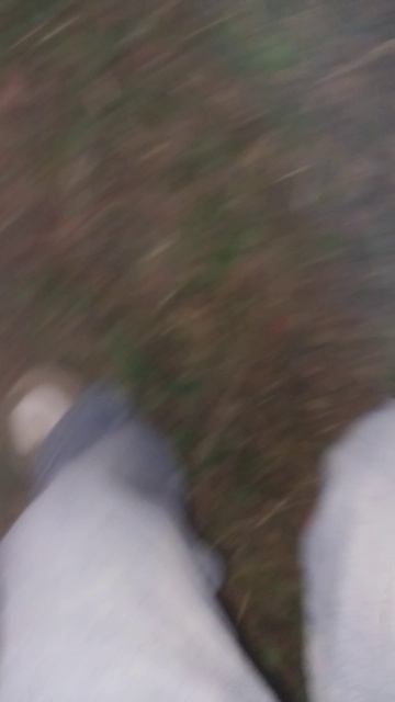 ксюх это батут