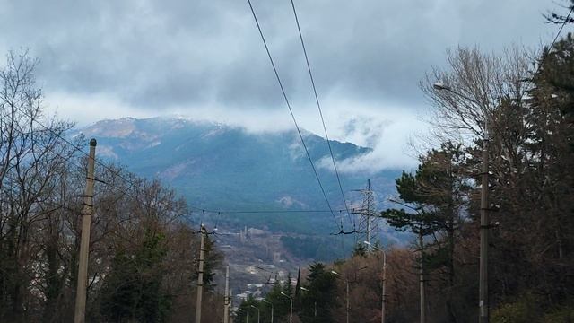 Крым, горы, лес, Ялта