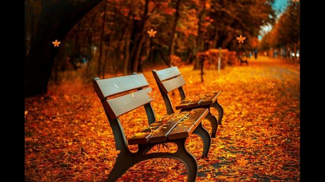 ФУТАЖ - ЗОЛОТАЯ ОСЕНЬ СКАМЕЙКА