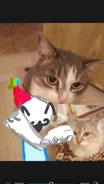 X3 С ДР МЯ !!!!!!