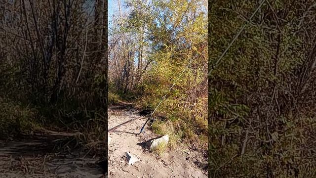 р. Абакан, яма 🎣