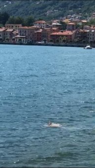 Заплыв озеро Комо, Иьалия