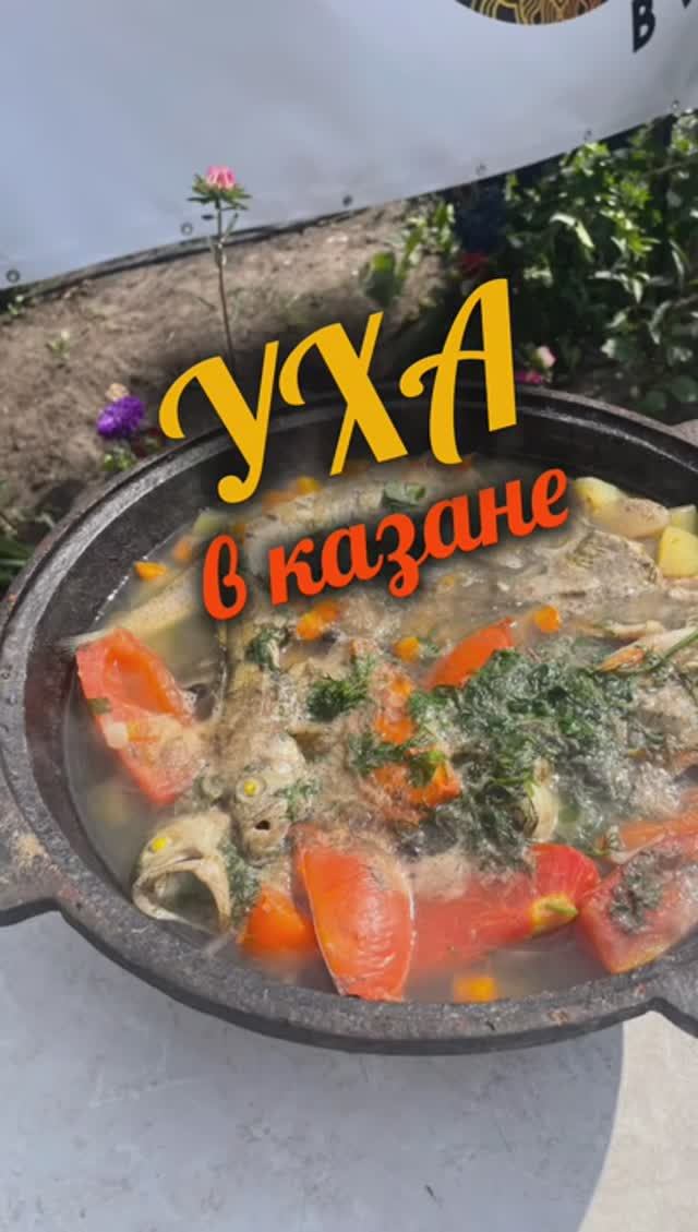 Быстрая УХА в чугунном казане