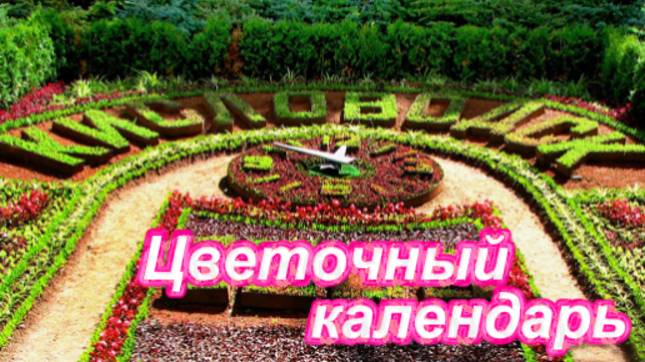 Цветочный календарь! Кисловодск