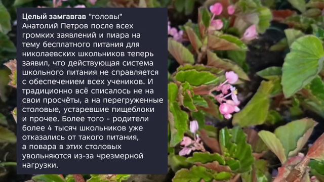 Николаев 21 сентября 2025 года (новости)